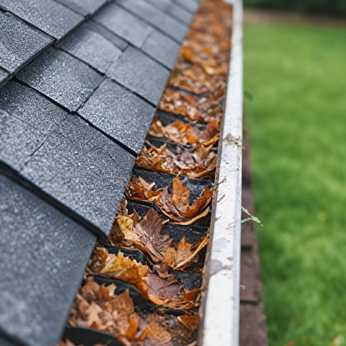 Premium Gutter Cleaning & Lawn Care